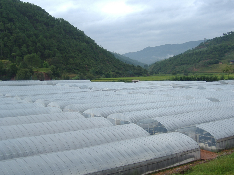 &ldquo;星光牌&rdquo;葡萄膜走進(jìn)全國(guó)葡萄學(xué)術(shù)研討會(huì)