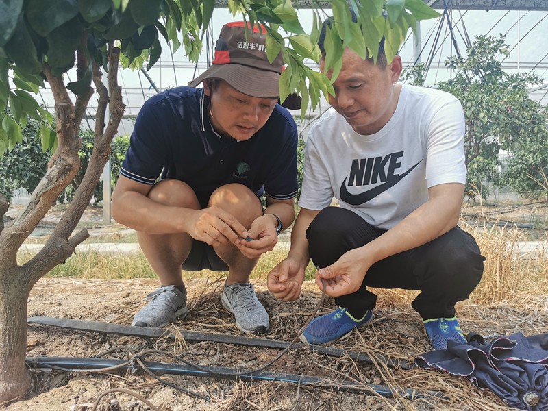 童旭宏：扎根田間的&ldquo;化肥博士&rdquo; 用專業造福農戶