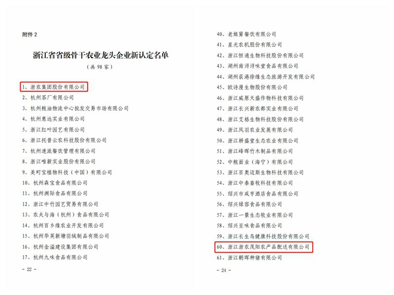 光影魔術手拼圖2_副本.jpg