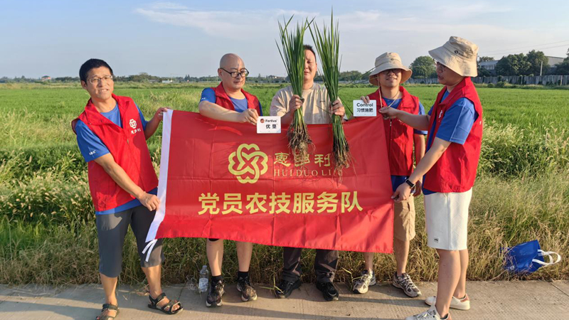 惠多利黨員農(nóng)技服務隊在嘉興開展水稻試驗回訪 以科技服務助力糧食豐收
