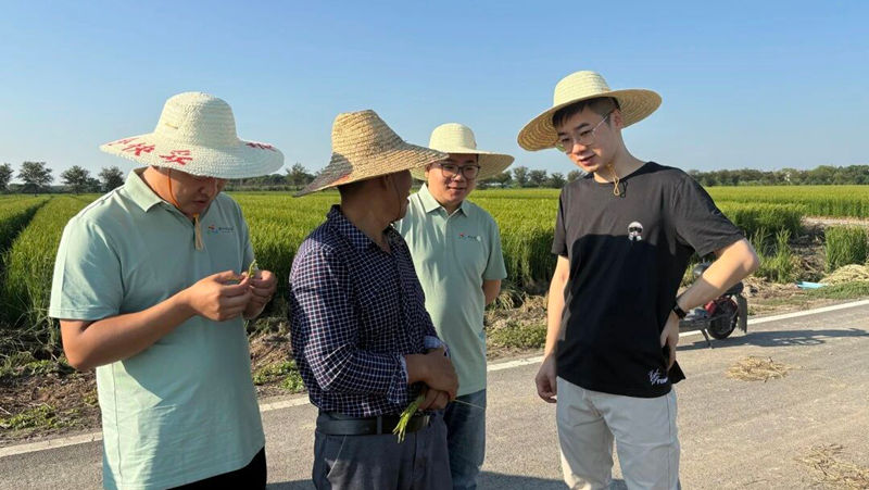 走基層 到一線丨情系嘉興稻鄉(xiāng) 見證現(xiàn)代農(nóng)業(yè)發(fā)展蝶變