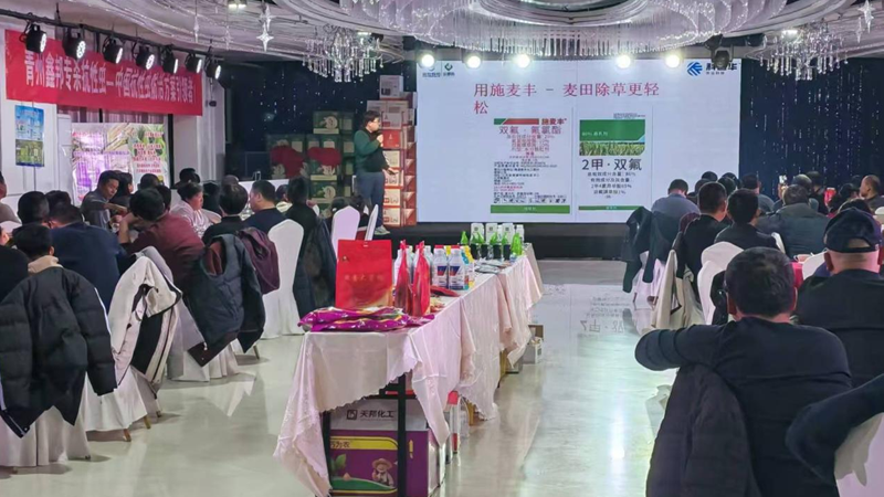 山東浙農(nóng)晟通舉辦&ldquo;施麥豐&rdquo;市場啟動(dòng)會(huì)