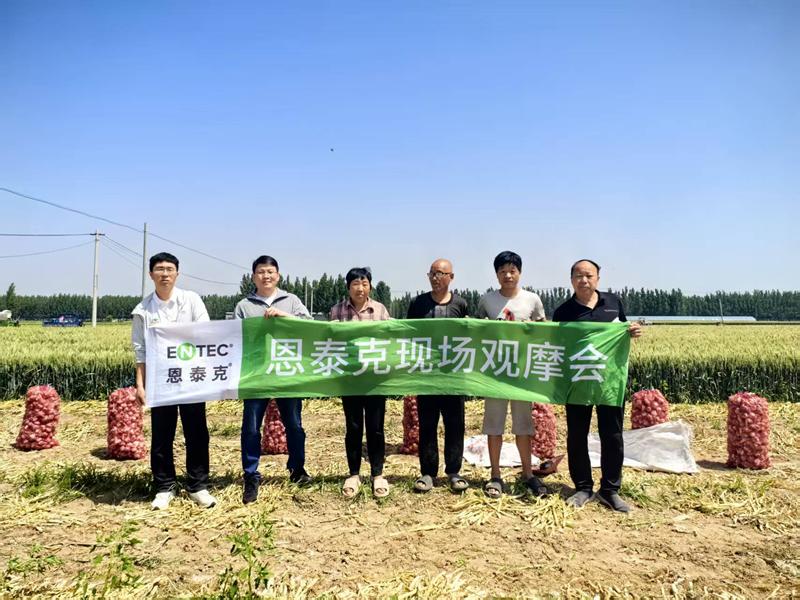 愛普科技舉行恩泰克大蒜測產現場會